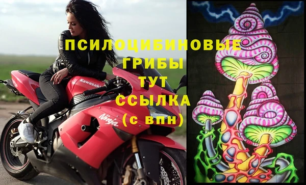 Альфа ПВП Кулебаки