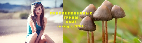 Альфа ПВП Кулебаки