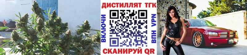 Дистиллят ТГК жижа  Купить где  Заречный 