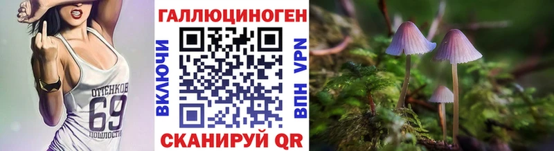 Галлюциногенные грибы MAGIC MUSHROOMS Заречный